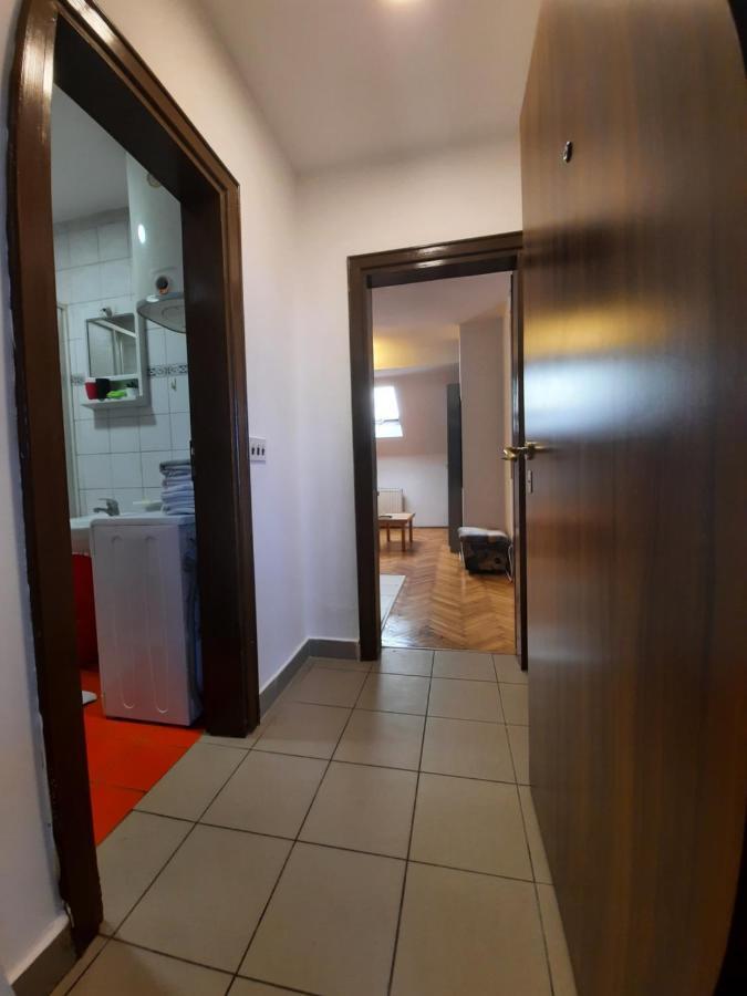 Studio In The Centre Of Novi Sad Bagian luar foto
