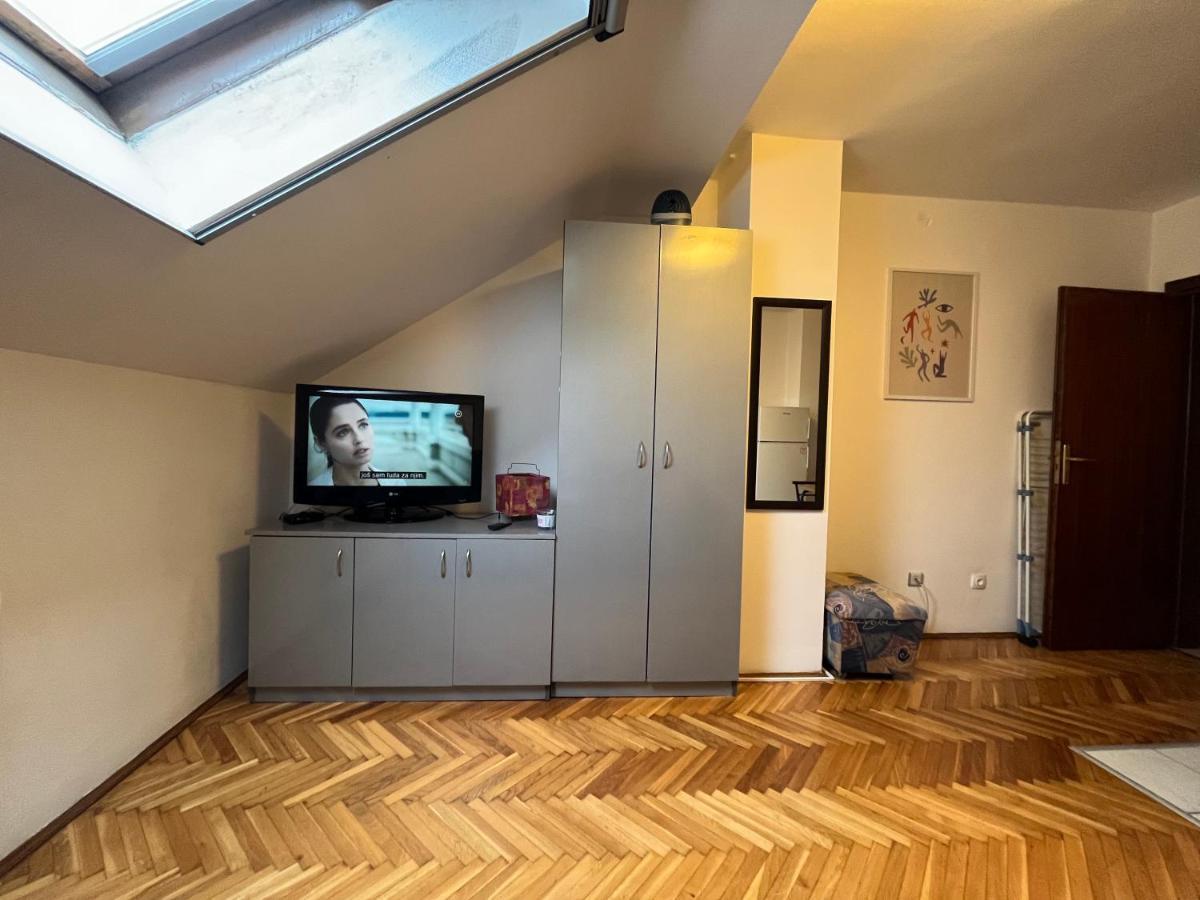 Studio In The Centre Of Novi Sad Apartment Bagian luar foto
