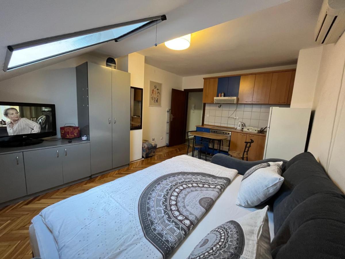 Studio In The Centre Of Novi Sad Bagian luar foto