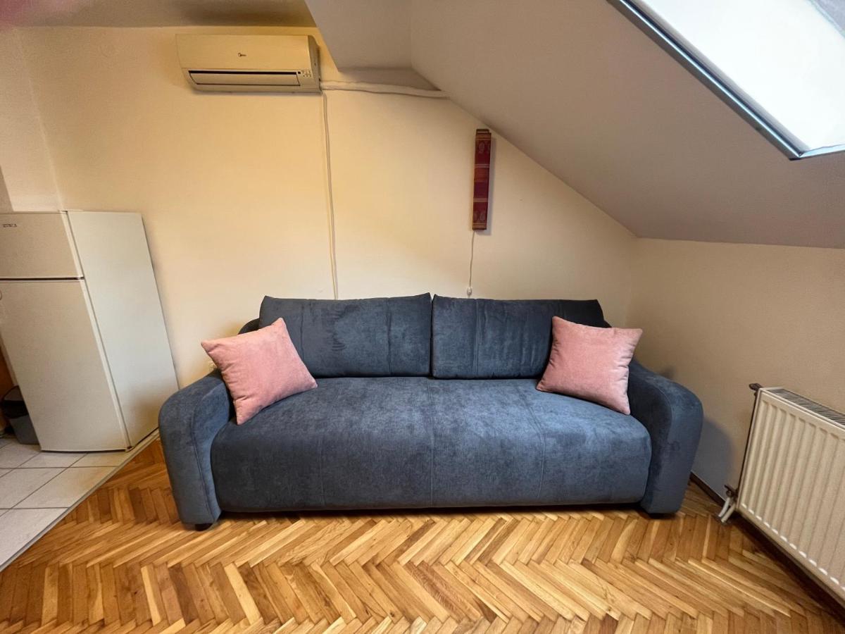 Studio In The Centre Of Novi Sad Bagian luar foto