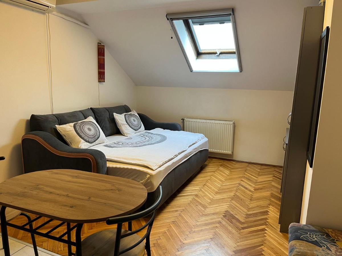 Studio In The Centre Of Novi Sad Apartment Bagian luar foto