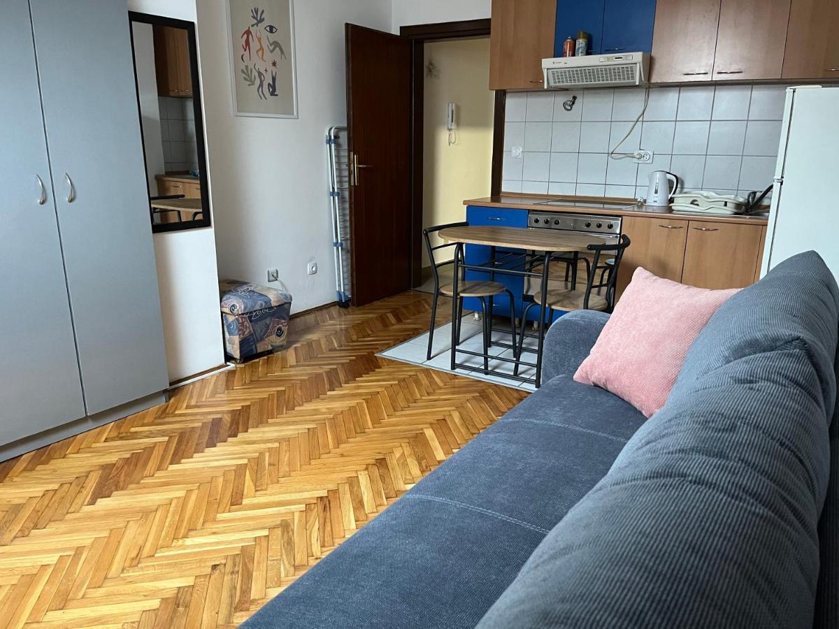 Studio In The Centre Of Novi Sad Apartment Bagian luar foto