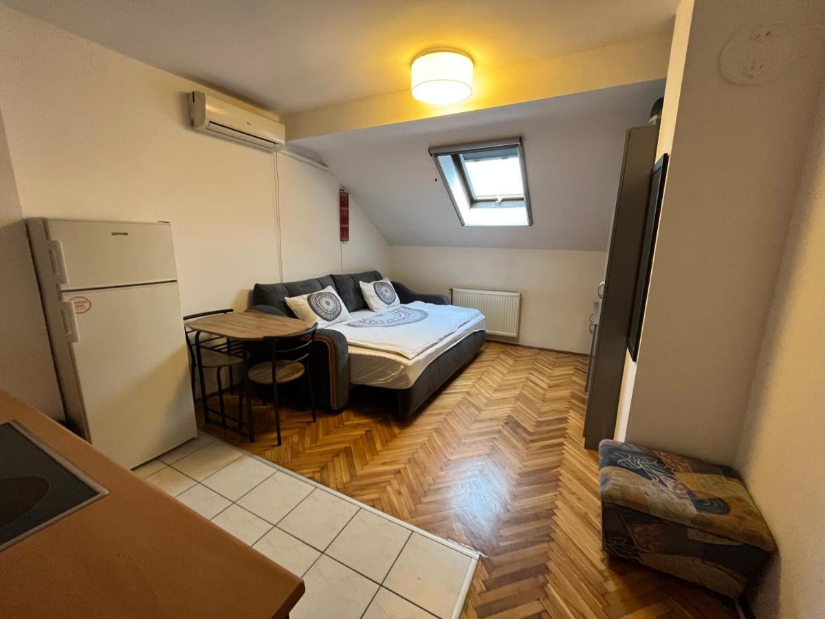 Studio In The Centre Of Novi Sad Bagian luar foto