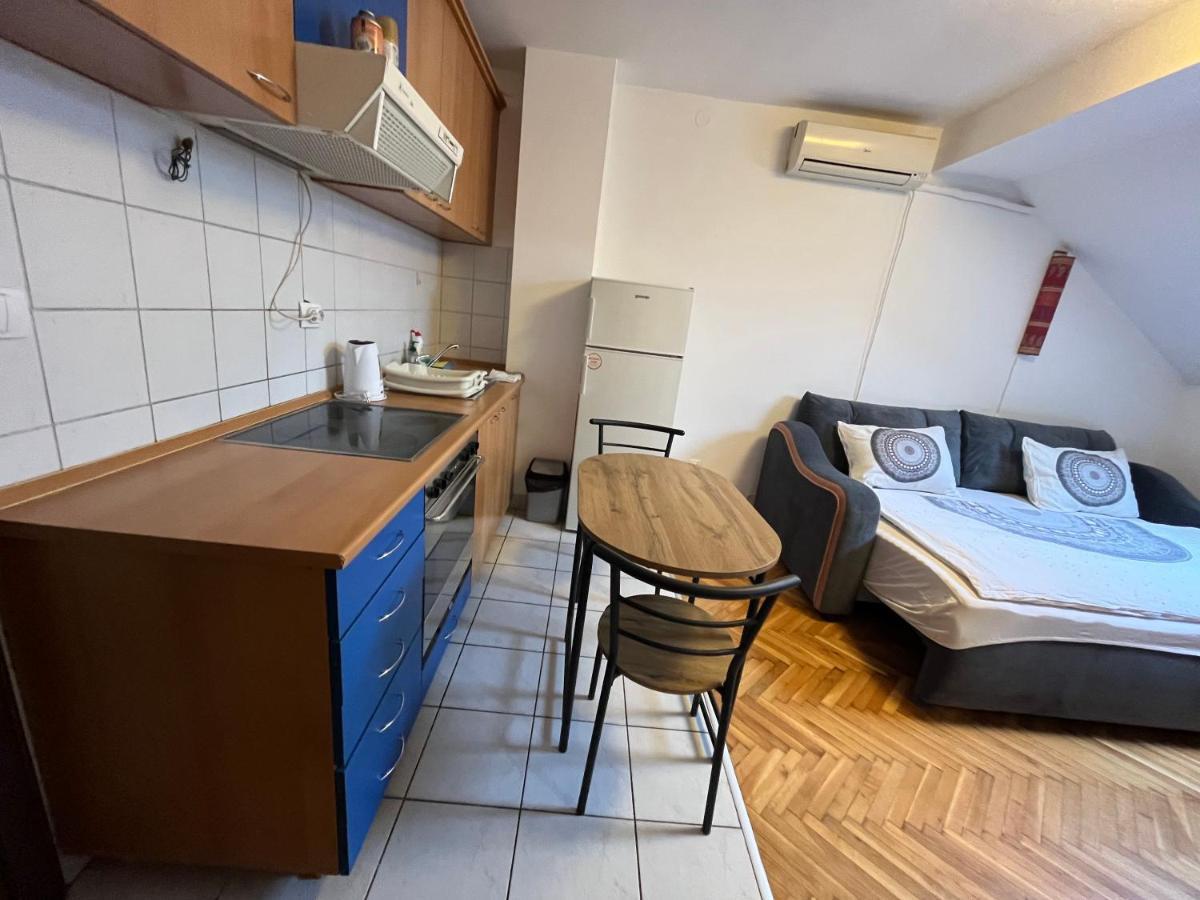 Studio In The Centre Of Novi Sad Bagian luar foto